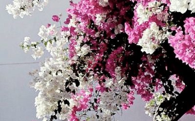 Η εβδομάδα μου μέσα από το Instagram
