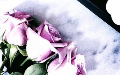 Η εβδομάδα 13/2-19/2 μέσα από το Instagram